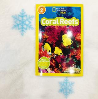 NG2 Coral Reefs P1-17