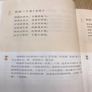 兜兜读诗《饮酒二十首 其四》