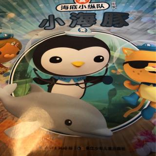 海底小纵队与小海豚