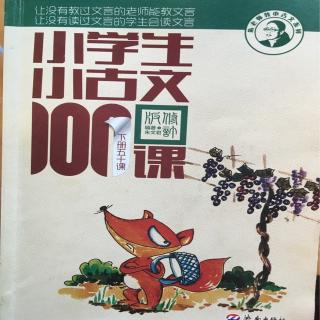 c439《小古文100课80杉苇刚柔》｜04号康康