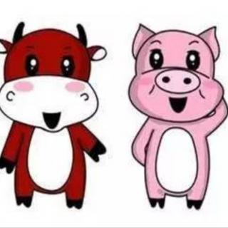 思逸情商幼儿园晚安故事—《猪🐷和牛🐮》