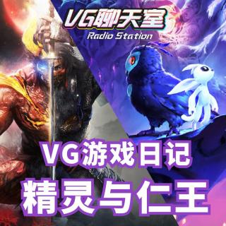 VG游戏日记：精灵与仁王【VG聊天室312】