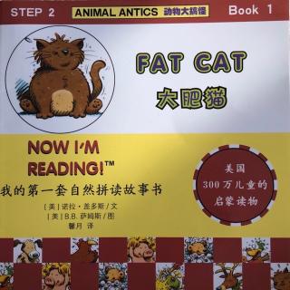 2-1 Fat cat