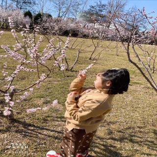 丁柯冉我只能是一个小孩子吗？棉花姑娘，红橘