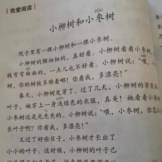 小柳树和小枣树