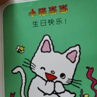 小猫当当《生日快乐》