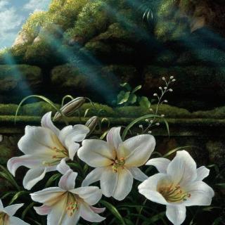 林清玄悬崖上的百合花图片