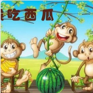 猴吃西瓜🍉