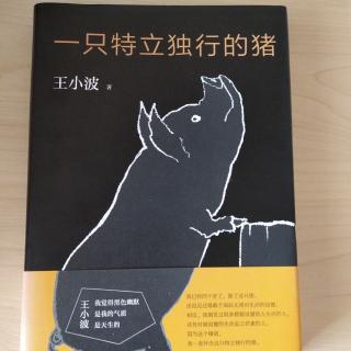 一只特立独行的猪 自序