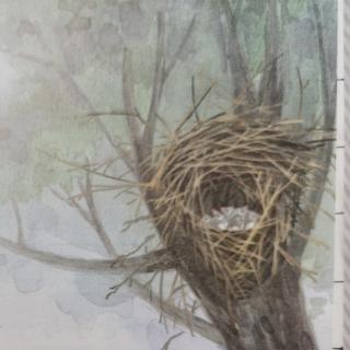 郭宸妡～9、枫树上的喜鹊