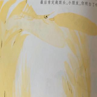 《小蚱蜢》