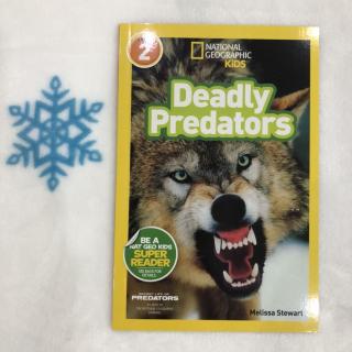 NG2 Deadly Predators P1-19