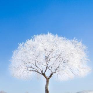 鲁宾逊漂流记(节选)