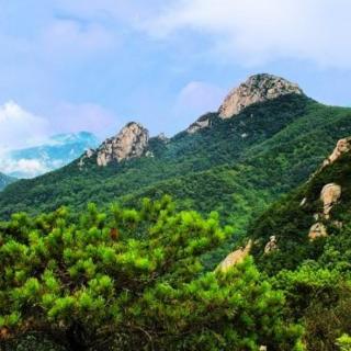 《可爱的家乡！我深深地祝福你》文/沂蒙青山