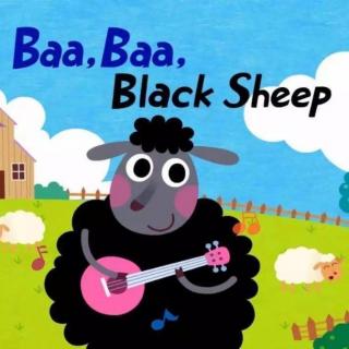 《Black Sheep》