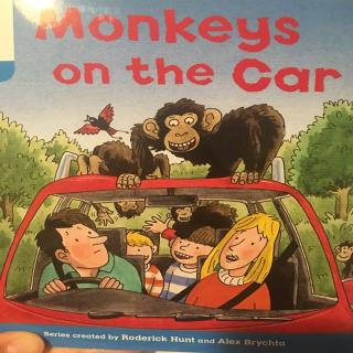monkeys on the car