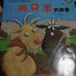 暖暖心绘本之两只羊的故事