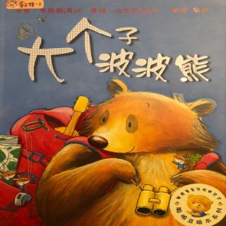 大个子波波熊🐻