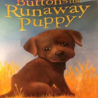 Btttons the Runaway Puppy