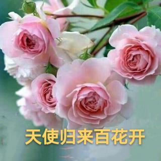 《天使归来》作者：祝相宽 朗诵：玫瑰伊人