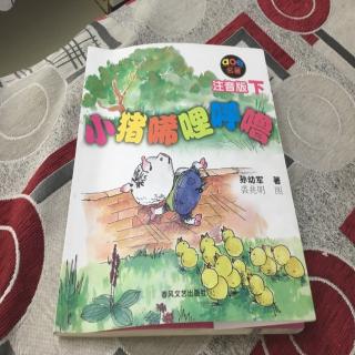 小猪唏哩呼噜第1页到第25页