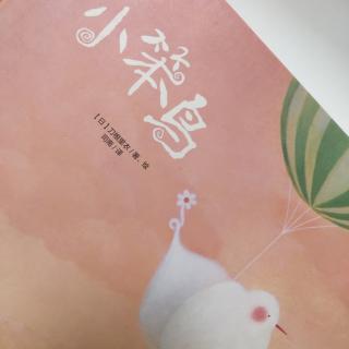 《小笨鸟🐦》