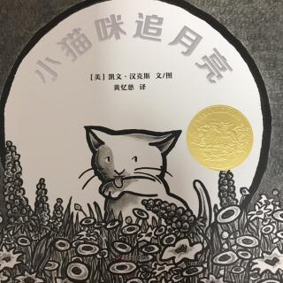 经典绘本：74.小猫咪追月亮