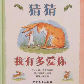 菁华老师讲故事第十四期《猜猜我有多爱你》