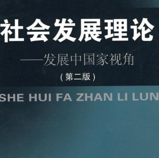 社会发展视角理论