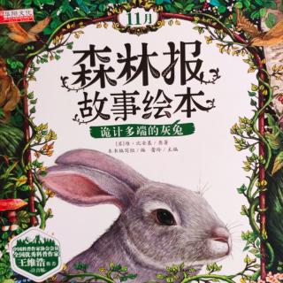 《诡计多端的灰兔🐰》