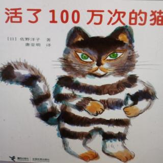 活了100万次的猫