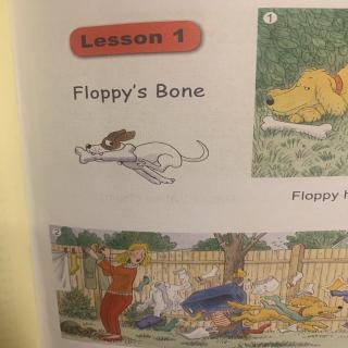 Good English Lesson 1 Floppy' bone