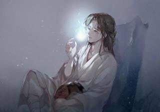 天官赐福 第一百九十五章 无名鬼供奉无名花 2