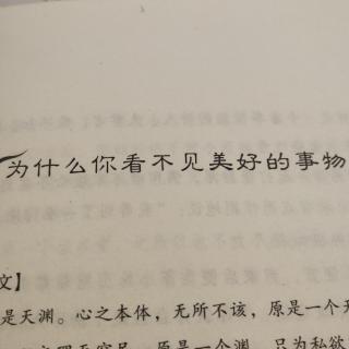 为什么你看不见美好的事物