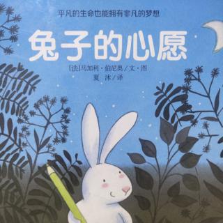 《兔子🐰的心愿》