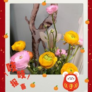 教师法