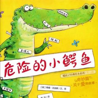 《危险的小鳄鱼🐊》