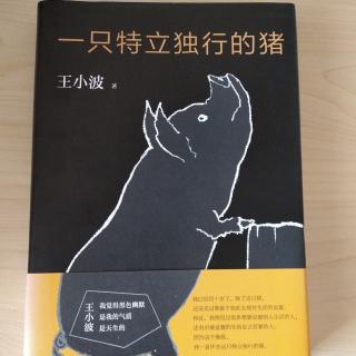 知识分子的不幸