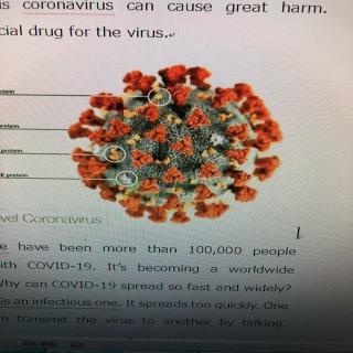 学生作文All about the Coronavirus