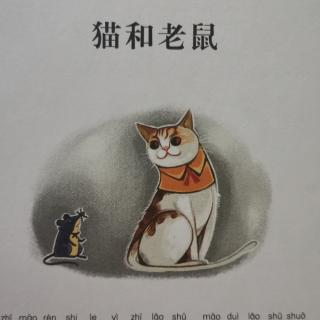 童话故事【格林童话】猫和老鼠