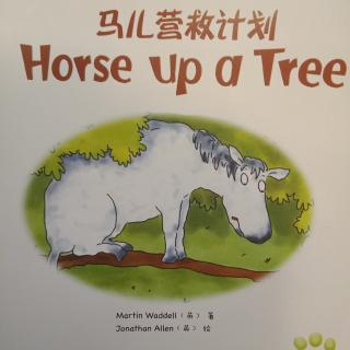 之湛演绎：Horse Up a Tree