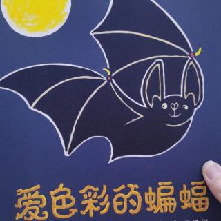爱色彩的蝙蝠
