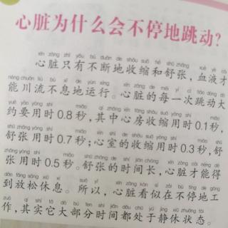 十万个为什么《心脏为什么会跳动》