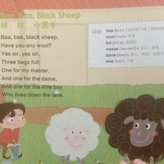 Baa baa black sheep点点