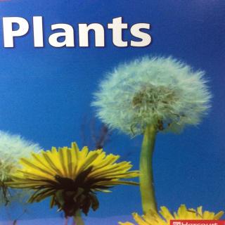 G2 Science LR Book24 - Plants