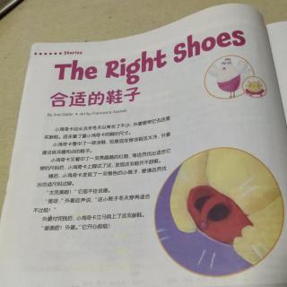 The Right shoes