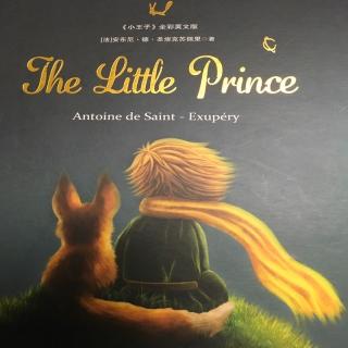 《The little prince》Chapter 17