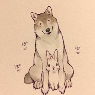 狼与兔子
