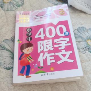 400限字作文