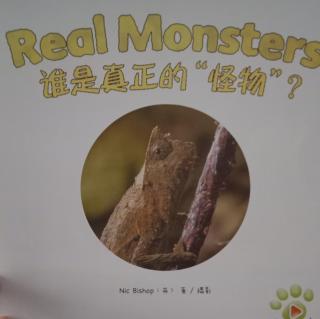 之湛演绎：Real Monsters